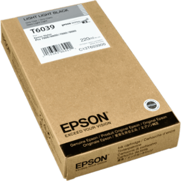 Epson Tinte C13T603900 photo grau